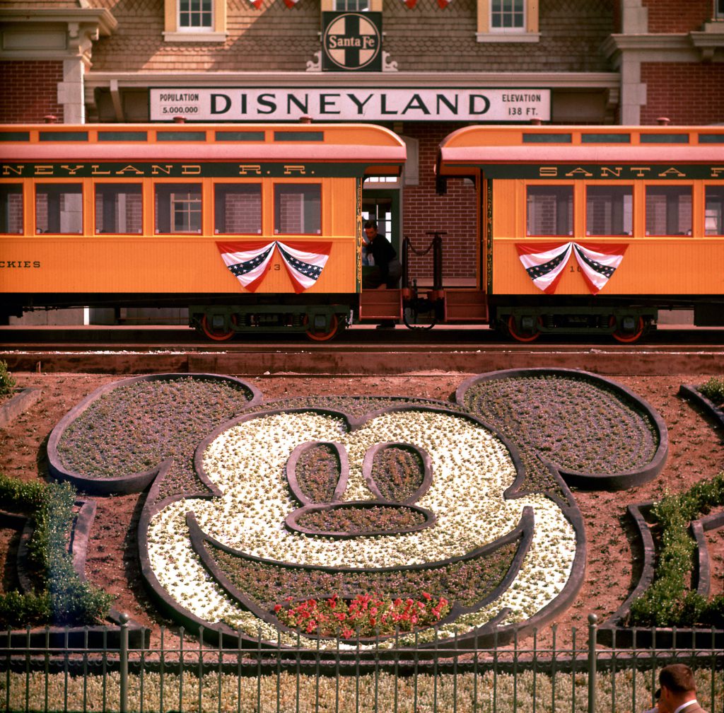 Planted flowers forming design of Mickey Mouse's face, with Disneyland train in background, 1955.
