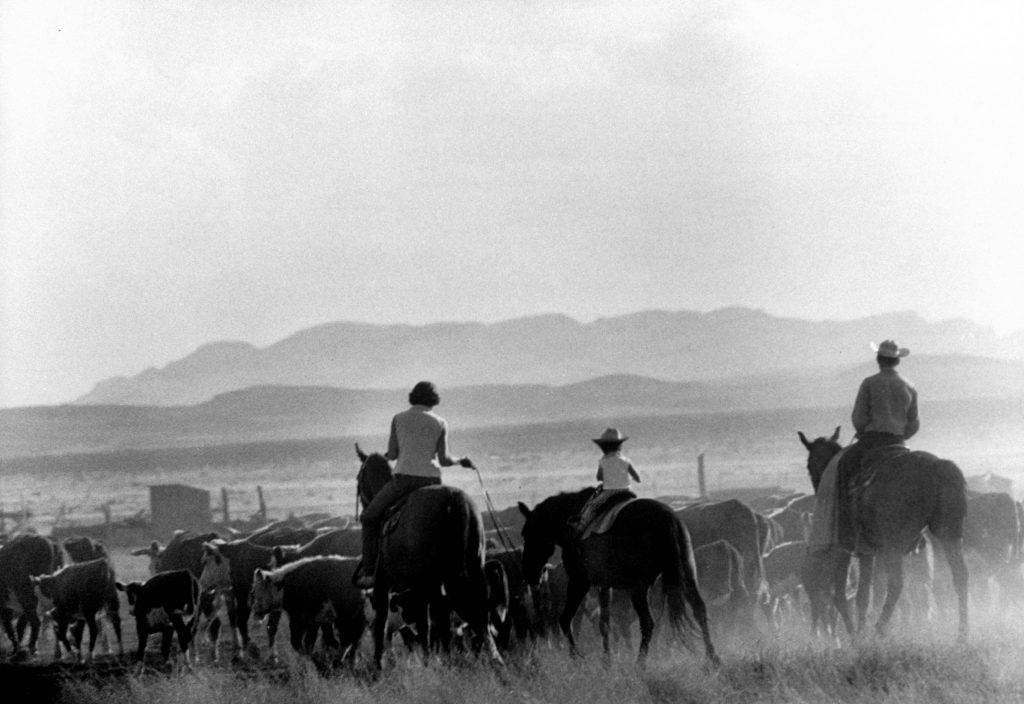 The Youngest Cowgirl in 1955